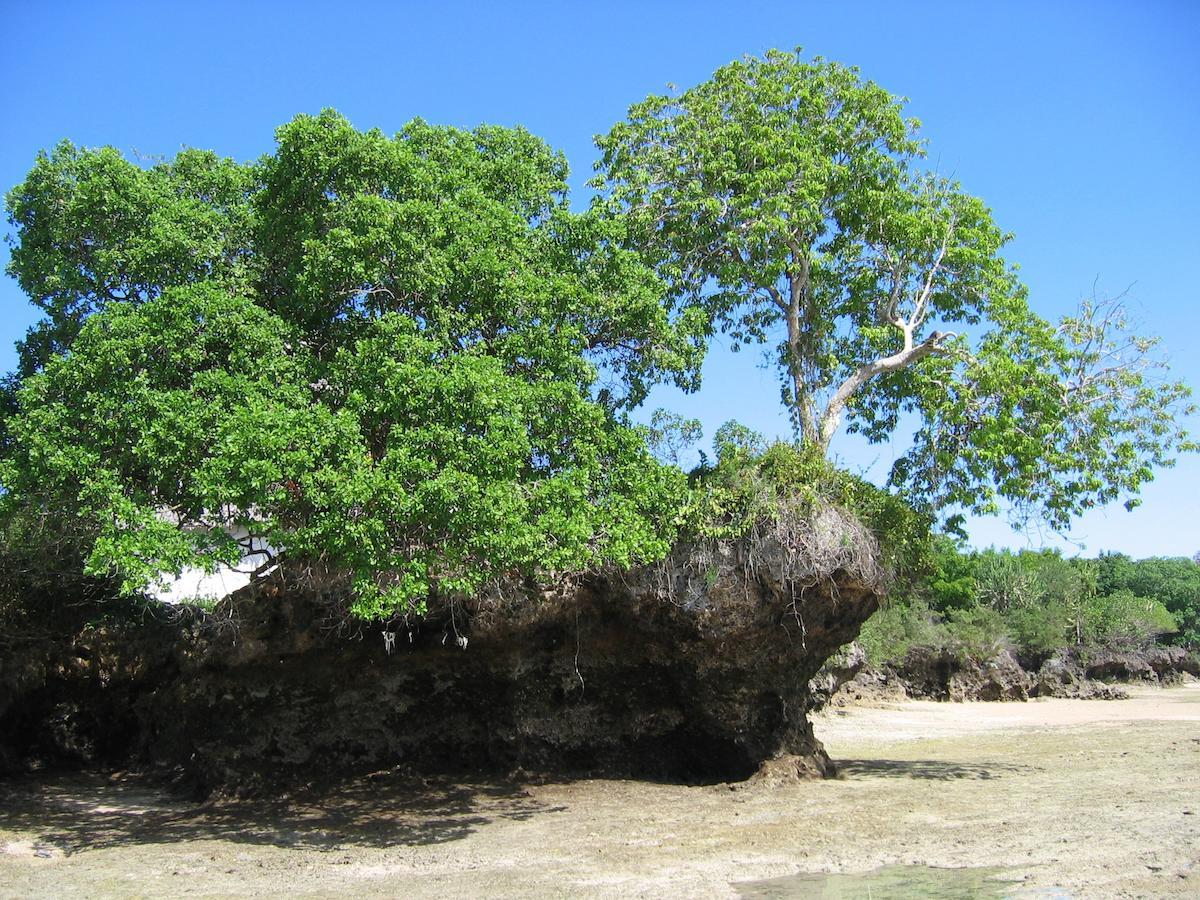 ホテルChapwani Private Island Grave Island エクステリア 写真