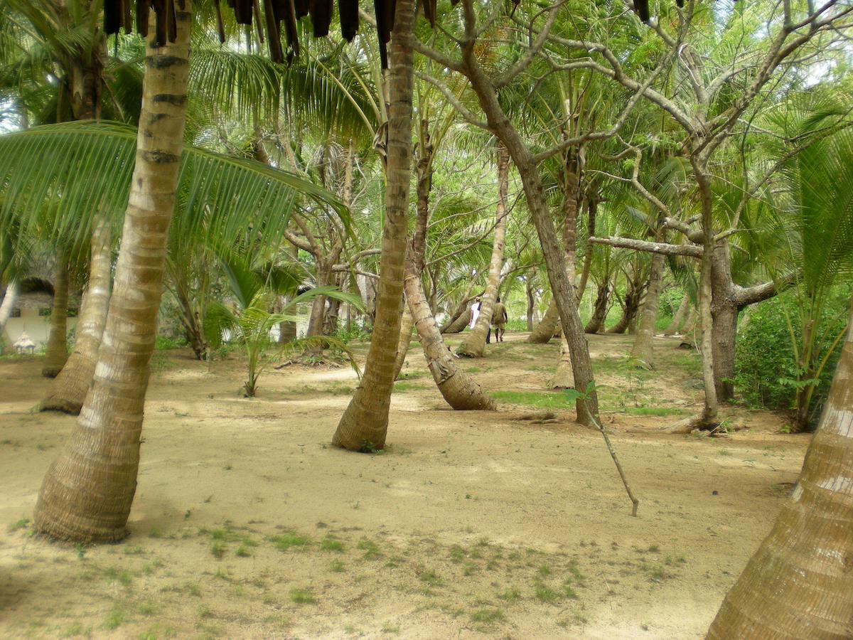 ホテルChapwani Private Island Grave Island エクステリア 写真