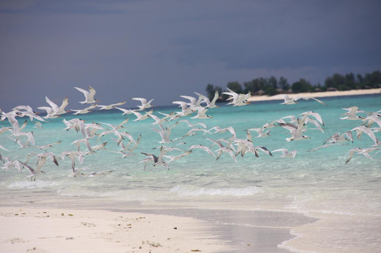 ホテルChapwani Private Island Grave Island エクステリア 写真